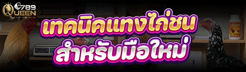 เทคนิคแทงไก่ชน สำหรับมือใหม่