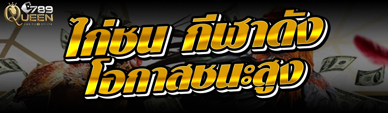 ไก่ชน กีฬาดัง โอกาสชนะสูง