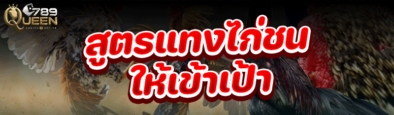 สูตรแทงไก่ชน ให้เข้าเป้า